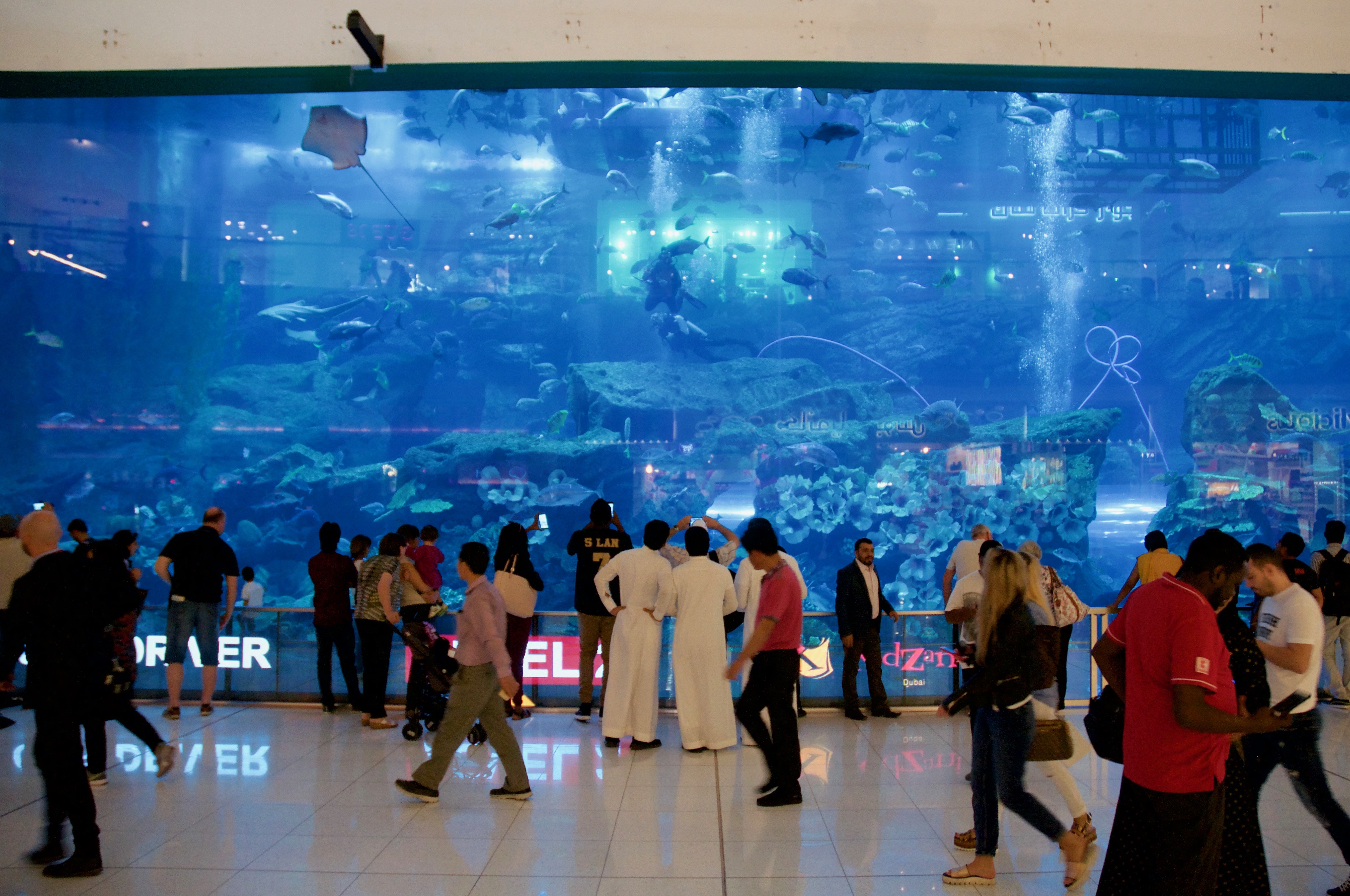 L'acquario del Dubai Mall