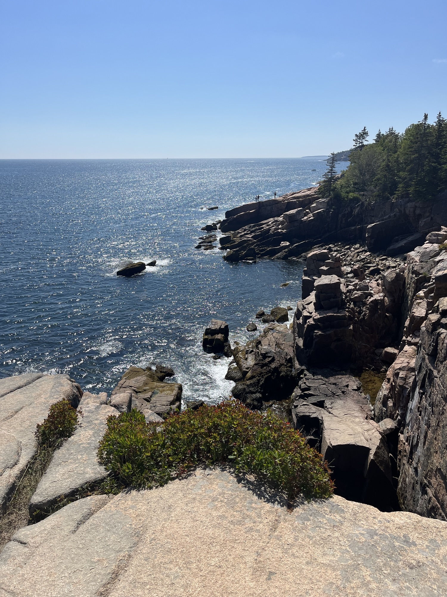 Acadia National Park: tutto quello che c’è da sapere
